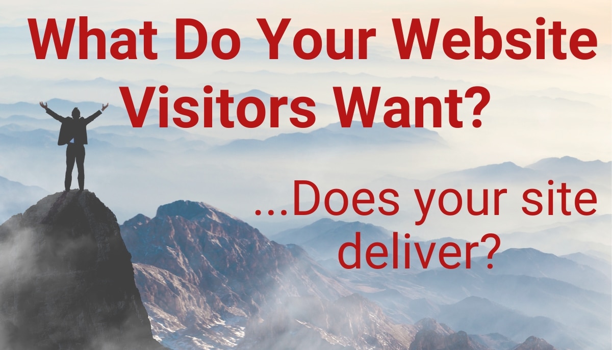 Website Visitors Goals Success